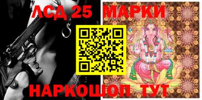 гидропоника Тверь