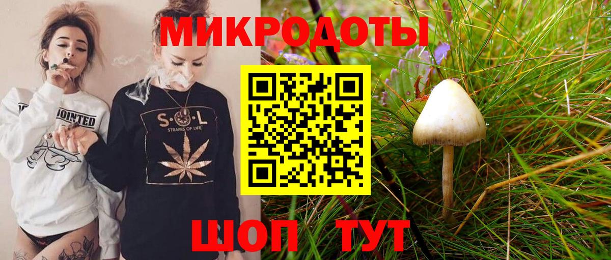 Псилоцибиновые грибы GOLDEN TEACHER  закладка  Моздок  Вход с VPN 