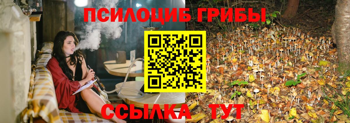 Псилоцибиновые грибы прущие грибы Моздок